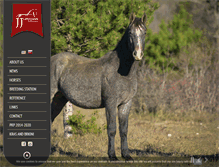 Tablet Screenshot of jjlipizzans.com